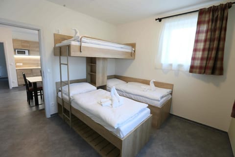 Apartmány AURA Apartment hotel in Erzgebirgskreis