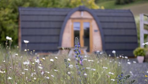 Clova pod, Kilry eco pods Campground/
RV Resort in Scotland