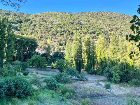 Stay Wild en Las Casitas de Huerta Arriba House in Sierra de Cádiz