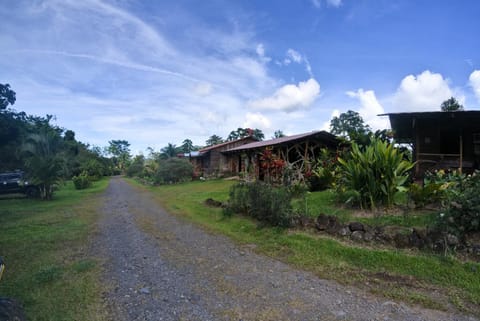 Property building, Horse-riding, View (from property/room)