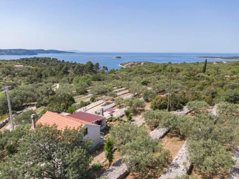 Property building, Bird's eye view