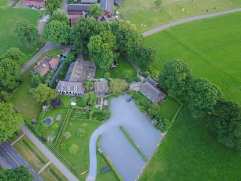 Bird's eye view, Garden view