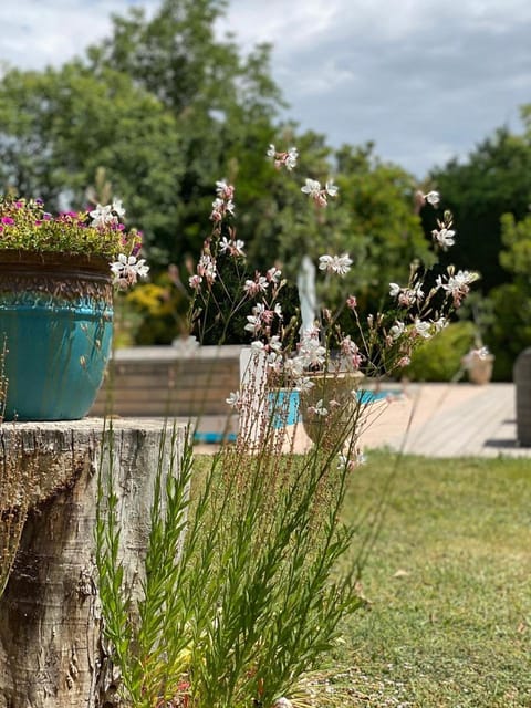 Garden, Garden view, Pool view