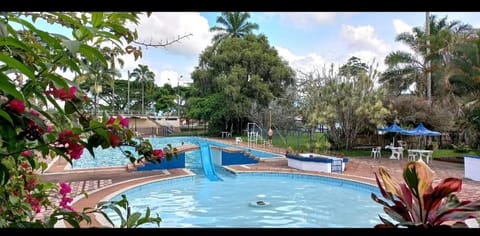 Garden, Swimming pool