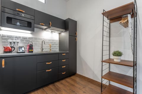 Le Cocon Lita-Palace Apartment in Lyon