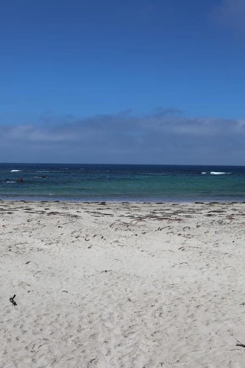 Natural landscape, Beach, Sea view