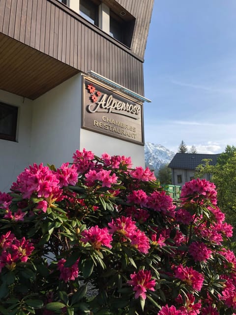Alpenrose Chamonix Hostal in Les Houches