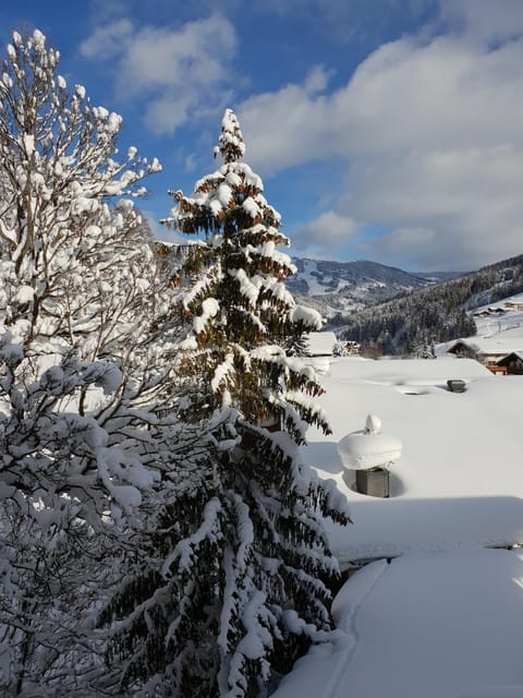 Natural landscape, Winter, Balcony/Terrace, Mountain view, Quiet street view