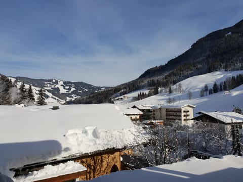 Natural landscape, Winter, View (from property/room), Mountain view