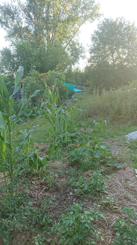 Tente en permaculture pirate Campground/ 
RV Resort in Bergerac