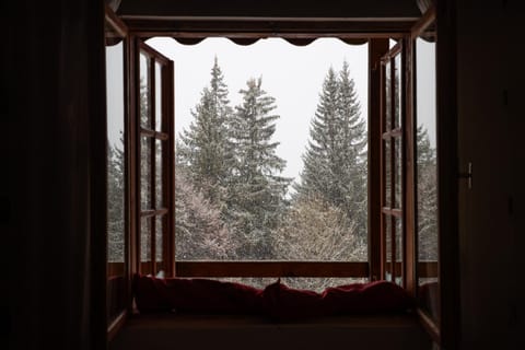 Natural landscape, Winter, Mountain view