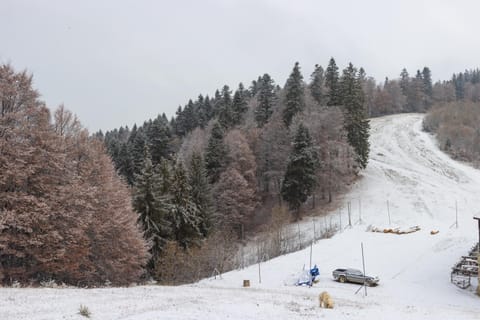 Day, People, Natural landscape, Winter, Hiking