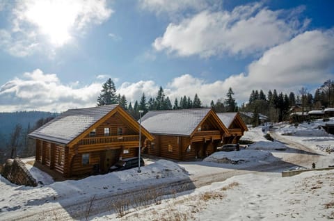 Luxus-Ferienhaus Blockhaus Chalet Nr 3 Toplage am Feldberg mit Sauna, Outdoor-Hottub, Kamin auf 1300m üM House in Baden-Württemberg