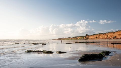 Beach, Windsurfing