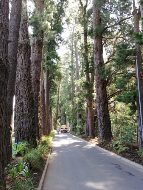 Parque Pinares-Maravilloso-Playa -Muelle-Bosque House in Pucon