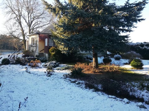 Property building, Winter, Garden