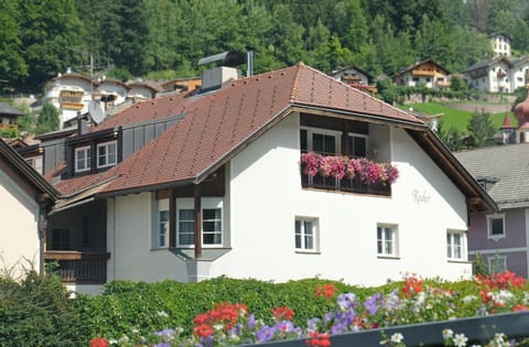 Property building, Neighbourhood, Summer