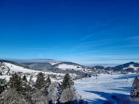 Wald Hotel Willingen Hotel in Willingen