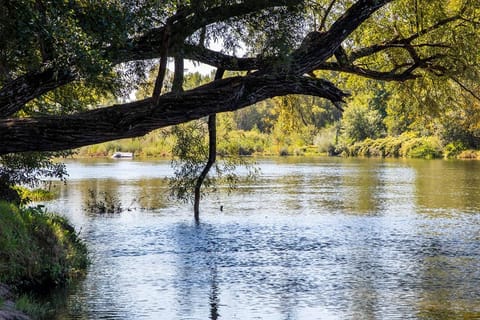 Natural landscape, River view