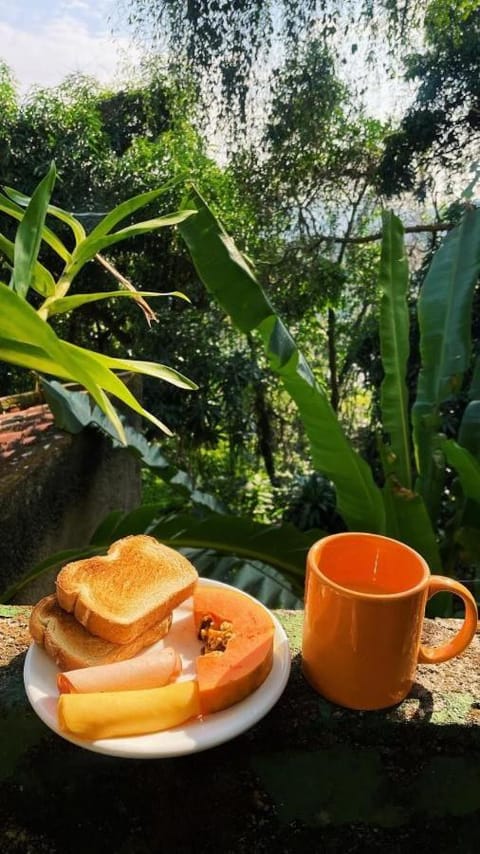 Santa Teresa Junto à Natureza Bed and Breakfast in Santa Teresa