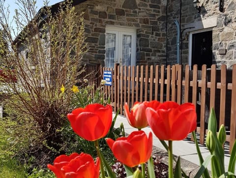 Bronwye Bed and Breakfast in Wales