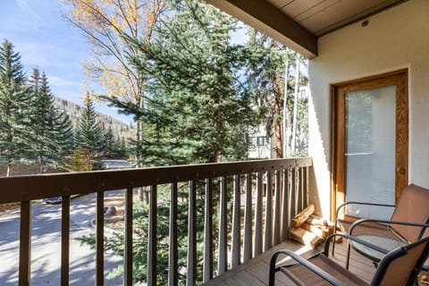 Townsend Place by Vail Realty Condo in Beaver Creek