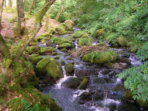 The Dolgoch Bed and Breakfast in Bryn-Crug