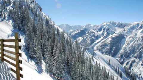 The Aspen Mountain Residences Apartment hotel in Aspen