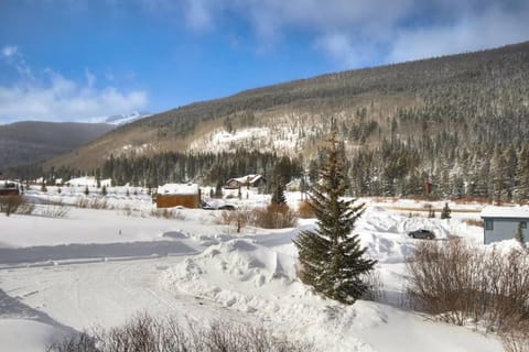 Alpine Ski Lodge: Amazing View and Private Hot Tub House in Blue River