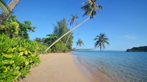 Natural landscape, Beach