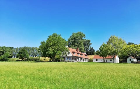 Property building, Natural landscape, Garden view