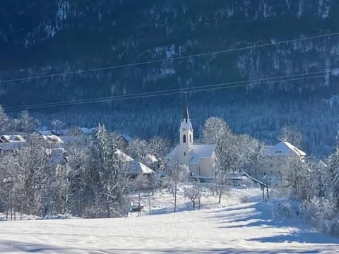 Apartments Edelweiß & Enzian - Gästehaus zum Fuchs Apartment in Friuli-Venezia Giulia