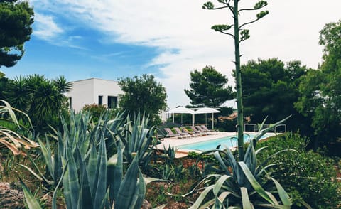 Day, Natural landscape, Garden, Garden view, Pool view, Swimming pool, sunbed