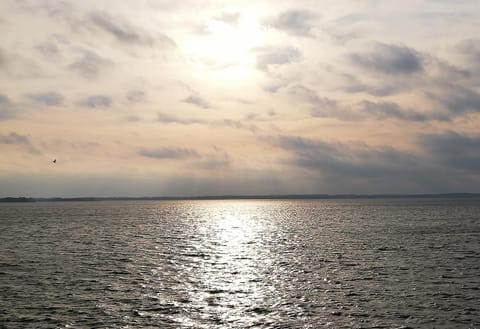 Natural landscape, Lake view, Sunset