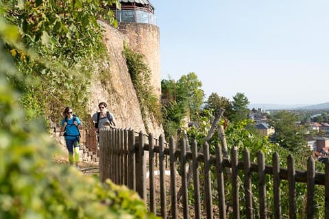 Landhotel Kauzenberg Hotel in Bad Kreuznach