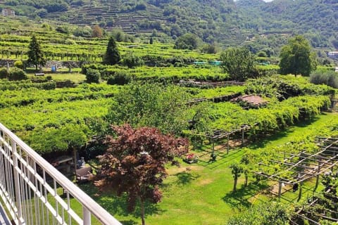 Natural landscape, Balcony/Terrace, Garden view