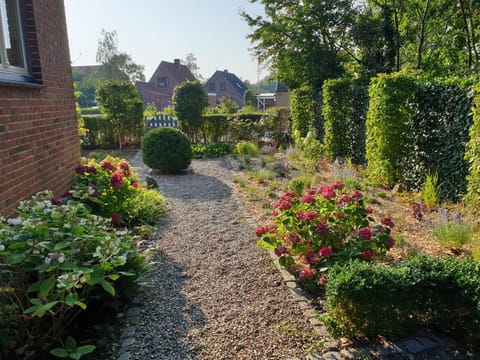 Summer, Garden, Garden, On site, Pets