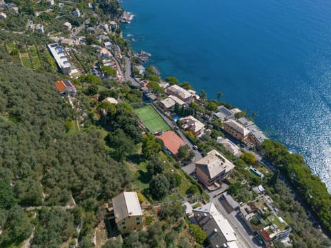 Neighbourhood, Bird's eye view