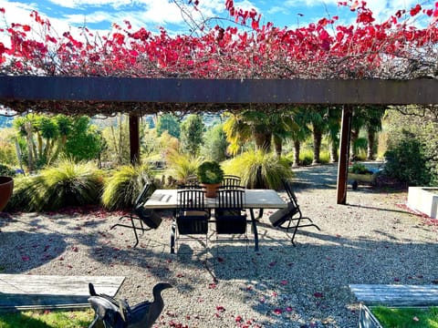 Dining area, Garden view