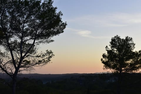 View (from property/room)