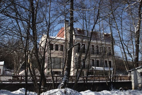 Property building, Bird's eye view, Winter