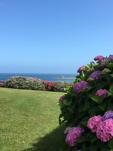 Maisonnette, Résidence les gîtes de Trestel House in Trévou-Tréguignec