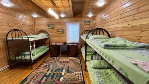 Photo of the whole room, Bedroom, bunk bed