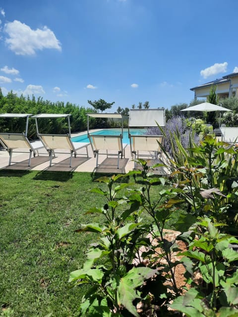 Garden, Swimming pool