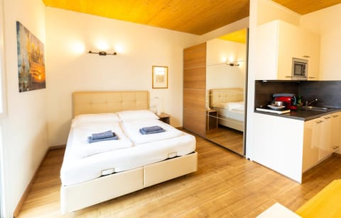 212 St Petersburg, Studio Apartment, 27m2, 1-2 Pers Apartment in Klagenfurt