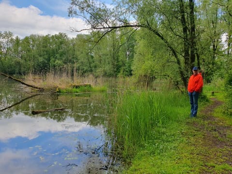 Spring, Natural landscape, River view
