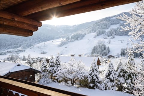 Natural landscape, Winter, Mountain view