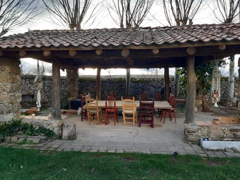 Patio, Day, Garden, Garden view