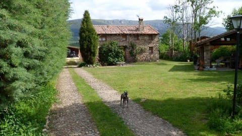 Property building, Day, Natural landscape, Garden, Garden view