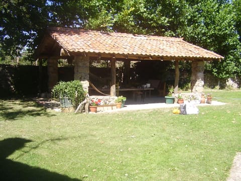 Patio, Day, Garden, Garden view